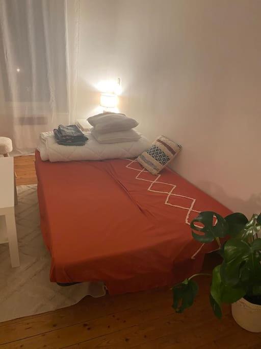 ברסט Charmant Studio , Plein Centre מראה חיצוני תמונה